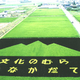Illustration for article titled Behold These Incredible Artworks Grown from a Rice Field in Japan